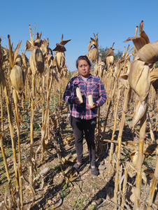 Elvira Cuachichil García