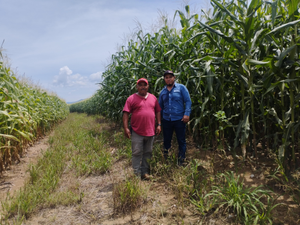 Mauricio Vega Hernández