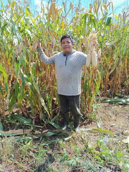 Testimonio Mario Fernando Flores Naal