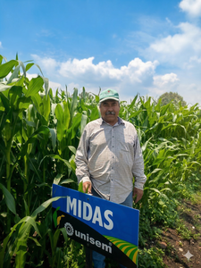 Lucio Ávila Zaragoza