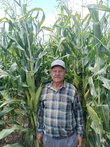 Gabino Palma Ledesma