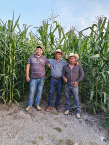 Antonio Villaseñor Campos