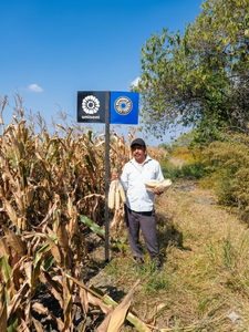 Armando Aldana Ávila