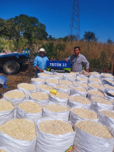 Flavio Rivera Morán