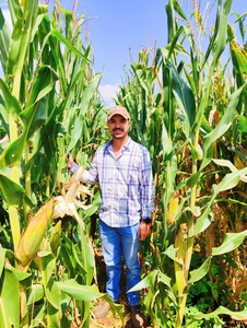 Refugio Aceves Báez