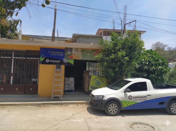 Agroimpulsora Marquelia 