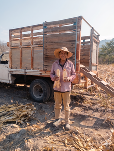 Juan Salgado Tenango