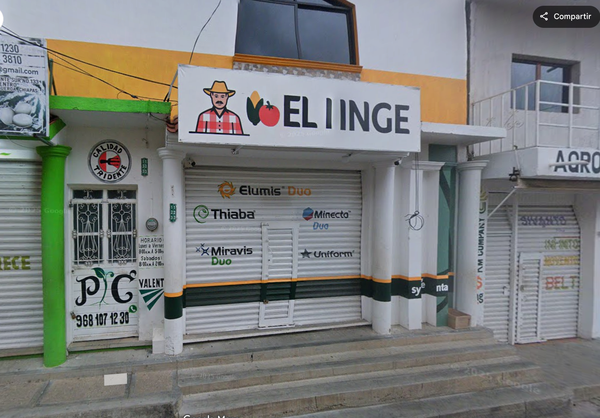 El Inge