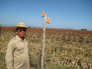 Juan José Venegas Miramontes
