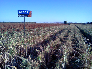 Juan José Venegas Miramontes