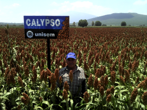 Benjamín Caracheo Negrete