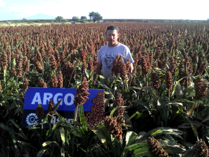 Elias del Socorro Ortega