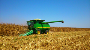 José Manuel Colorado Domínguez