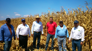 Jesús Carrizosa Barraza