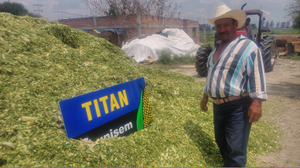 Francisco Moreno Merino