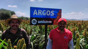 Guadalupe Ruiz Alvarez