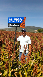 Michel Octavio Herrera