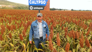 Elias del Socorro Ortega