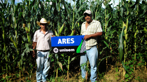 Miguel Ángel Nava Murguía