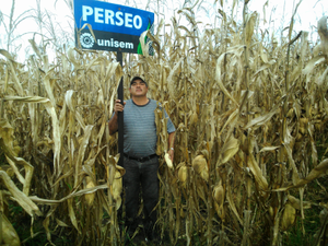 Ismael Pelayo pelayo