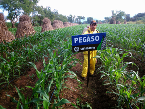 José Luis Barrios Mata