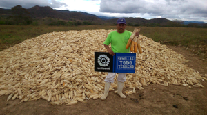 Artemio Ovando Sarmiento