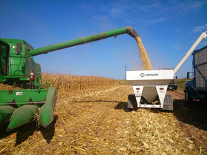 César Alonso Pérez