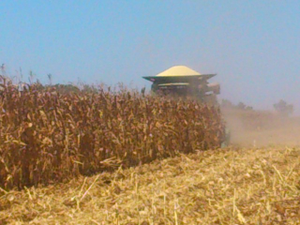 Norma Rodríguez Osuna