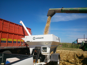 Juan Domínguez Valdez