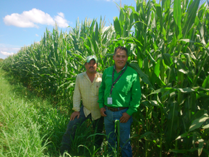 Pedro Estala Covarrubias