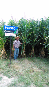 Guadalupe Mojica Herrera