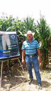Victor Hernández Piña