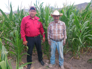 Ricardo Beltrán Zárate