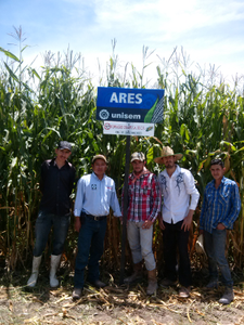 Teófilo Armando Campos Campos