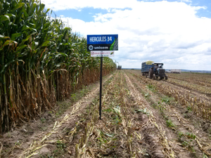 Fidel Valdivia Valdivia