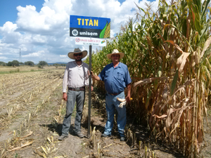 Salvador De Alba Cervantes