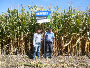 José Ramón Herrera González