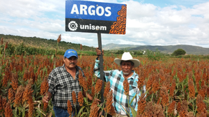 Herminio Félix Fernando Calixto Marmolejo