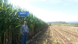 Miguel Pelayo Jiménez