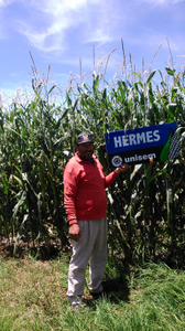 Benjamín Morales Chaparro