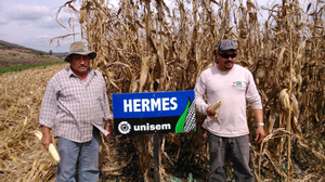 Fernando García Zavala