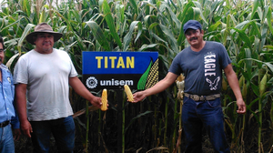 Artemio Ruíz Méndez