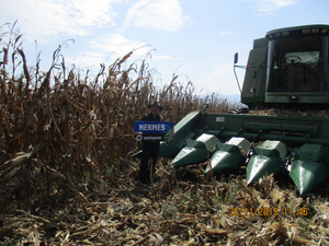 Victor Anaya Méndez