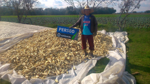 Genaro Pérez Huerta