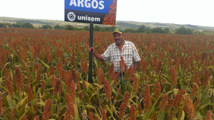 Carmen Conejo Álvarez