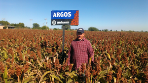 Elías Del Socorro Ortega Laguna