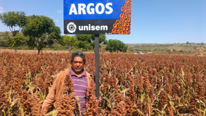 Alfonso González Cano