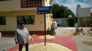 Marco Antonio Ruiz Jiménez