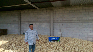 Marco Antonio Ruiz Jiménez