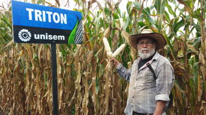 Gregorio Toledo Maldonado